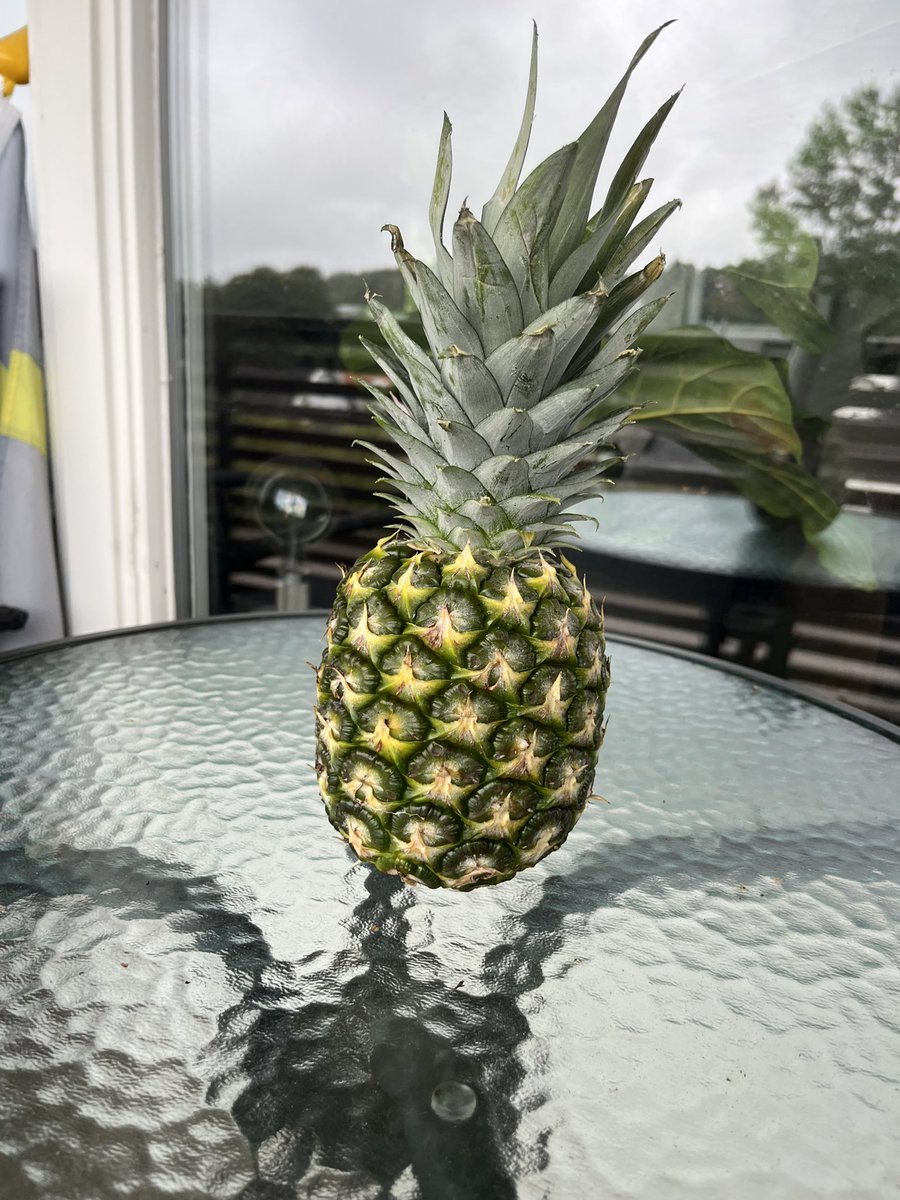 Dilf (@hardandgood) on Twitter photo 