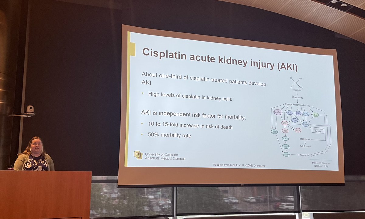 LukeMontrose's tweet photo. As we near the end of the #MWSOT and #RMWSS on the @CUAnschutz campus, Lauren Thompson provided an interesting talk on cancer drugs and how to protect the the kidney from negative impacts using a clinical trial.
#smokesymposium
@CUPharmacy @ColoradoStateU
@CSUVetMedBioSci https://t.co/iDNpGURMrb