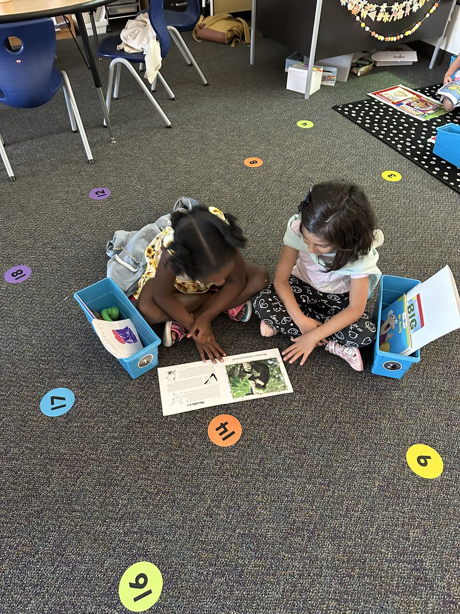 Catherine Calomeni tweet media