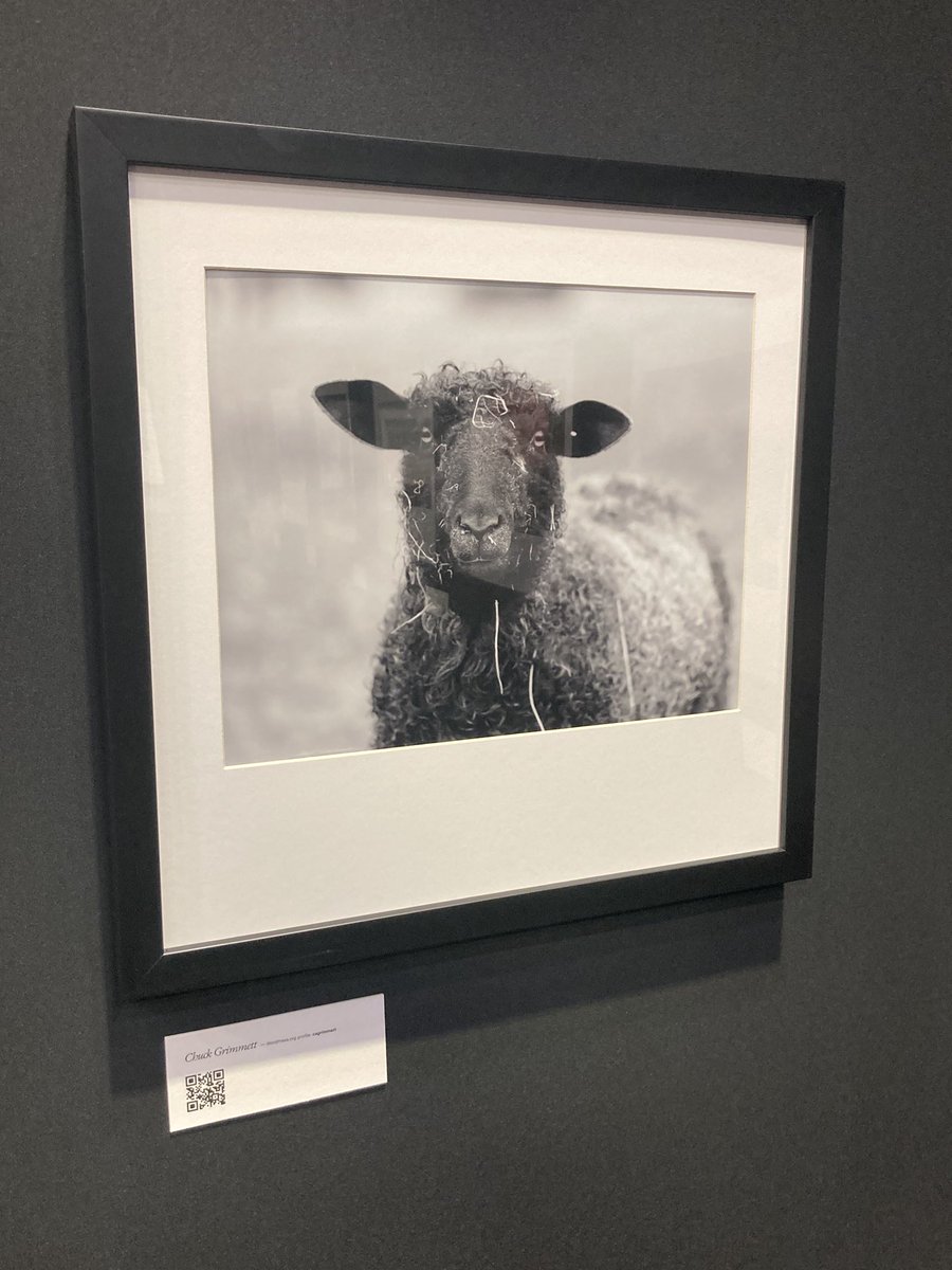 wordpressdotcom's tweet image. The Open Source | Open Canvas art exhibit at #WCUS is beautiful, so be sure to check it out! It&apos;s impossible to pick a favorite! #OpenSourceArt