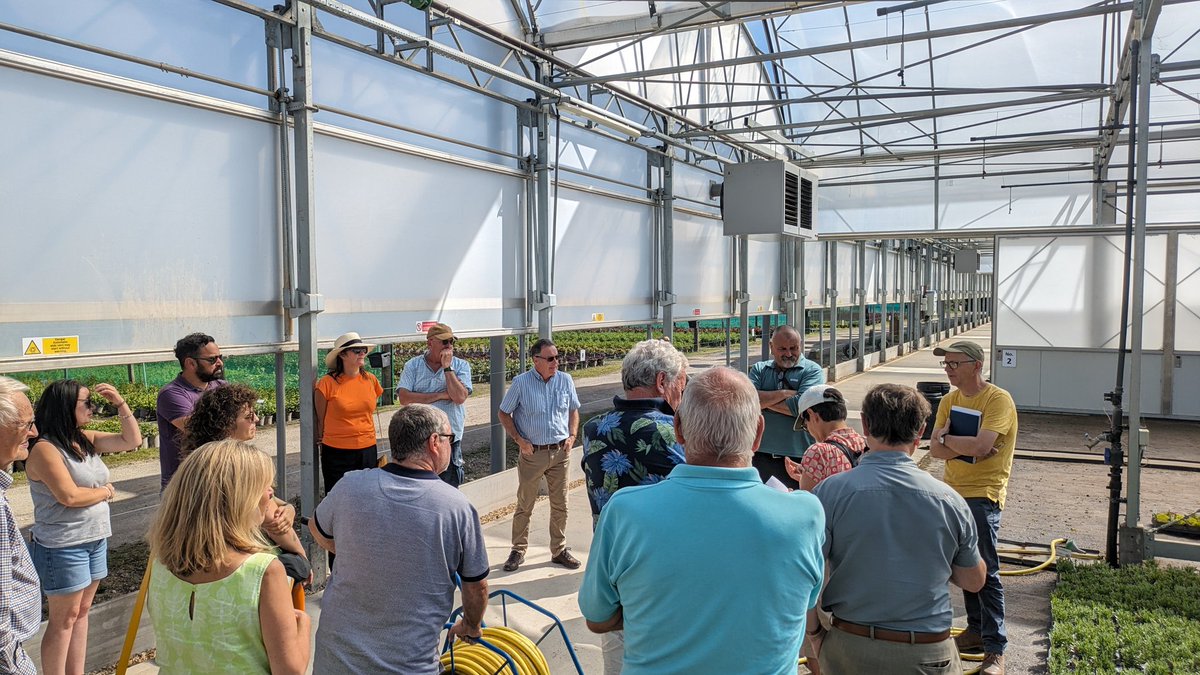 RHS Tender Ornamental Plant Committee tweet media