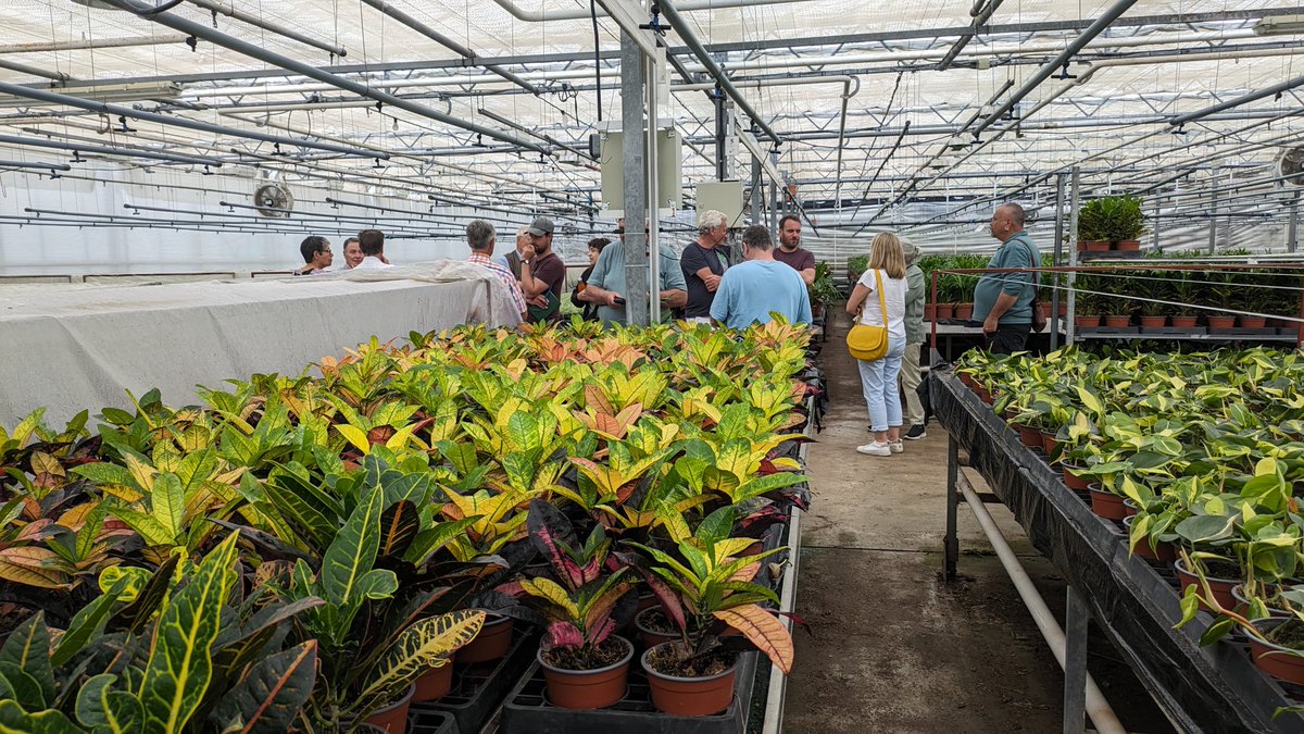 RHS Tender Ornamental Plant Committee tweet media