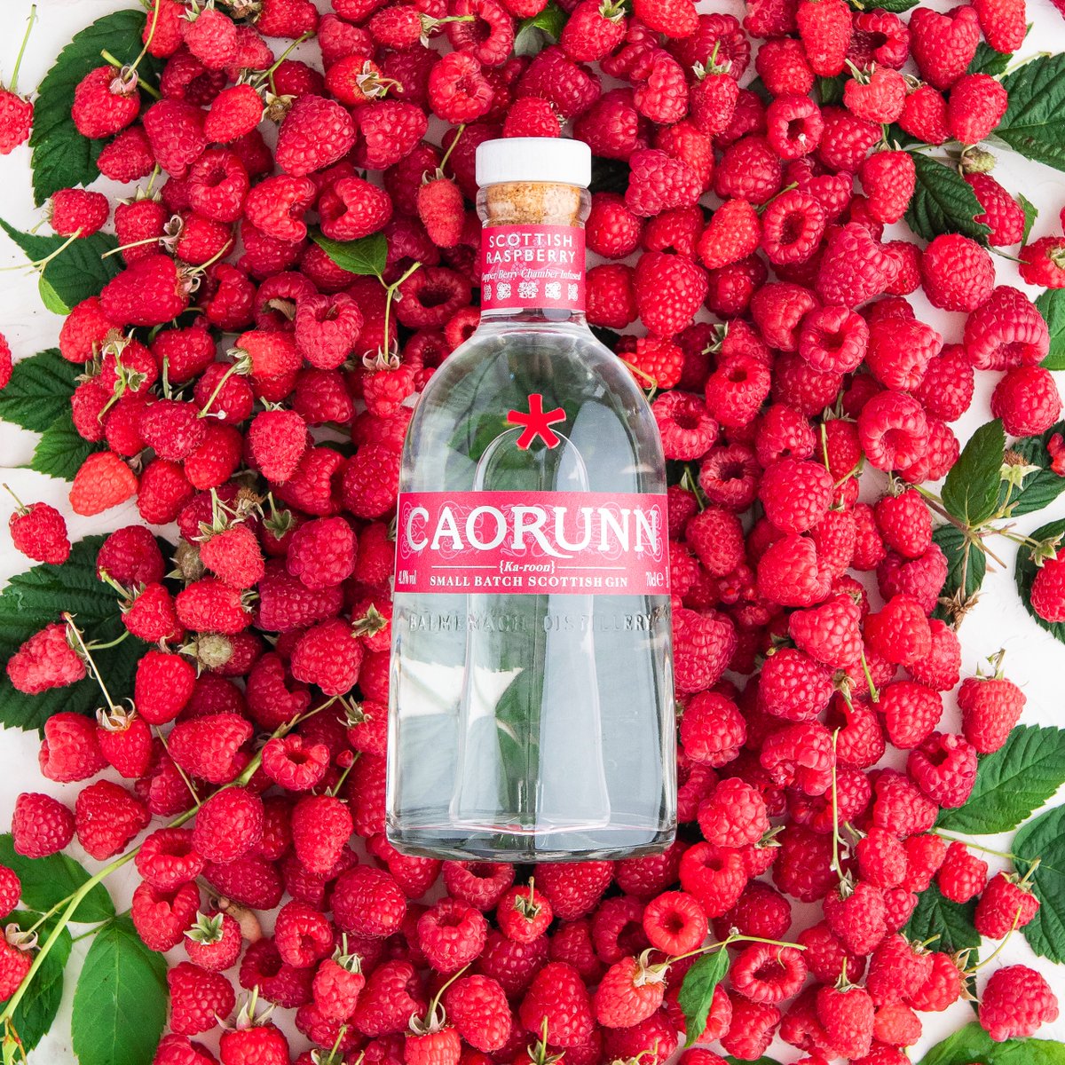 CaorunnGin's tweet image. 11 gin botanicals + a blast of Perthshire Raspberries = a genius equation with a delicious result. How are you enjoying Caorunn Raspberry? 🥂

It doesn't take a Gin Genius to drink responsibly.

#GinGenius #Caorunn #CaorunnGin #SmallBatchGin #CaorunnRaspberry