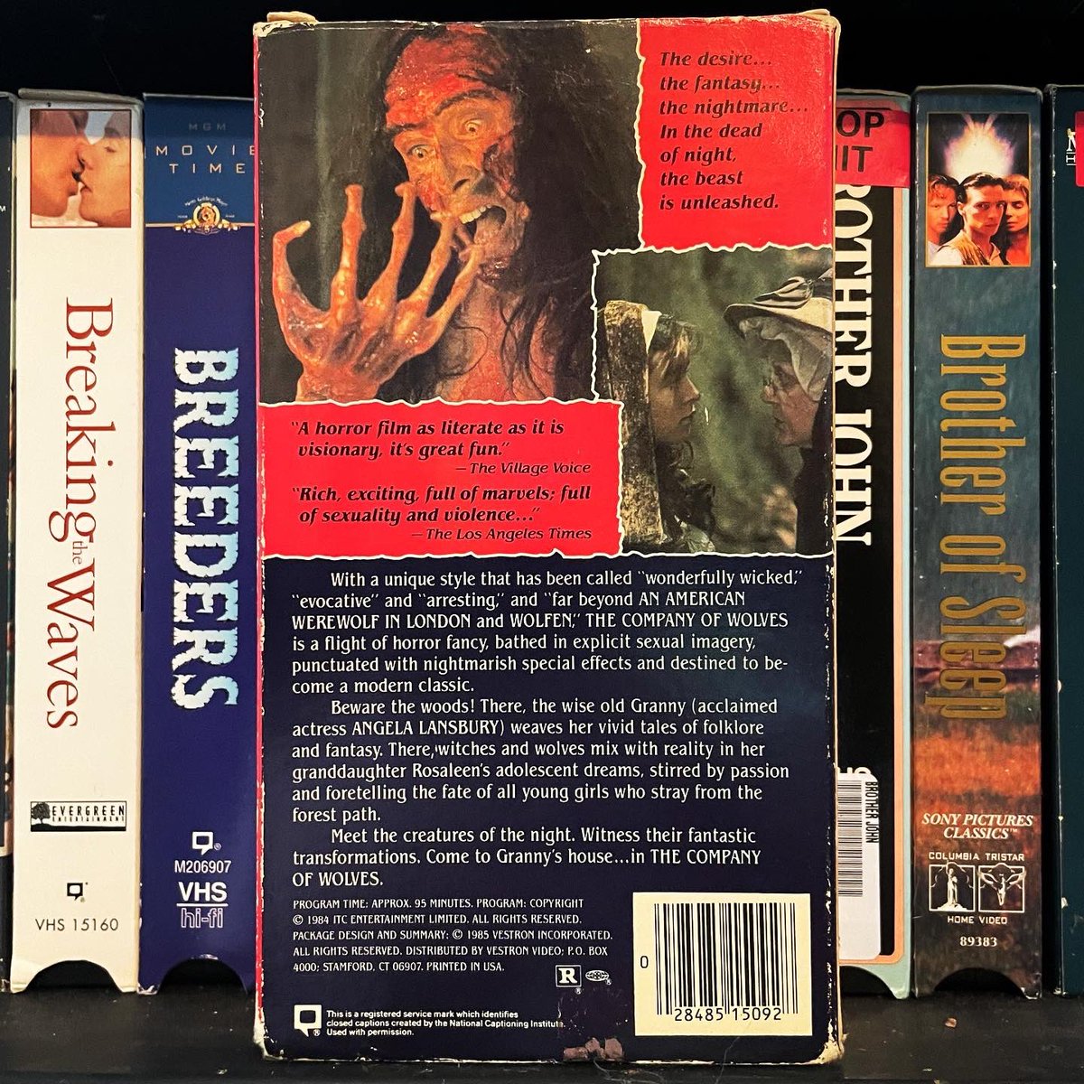 “Never stray from the path, never eat a windfall apple and never trust a man whose eyebrows meet in the middle”
#thecompanyofwolves #80scinema #werewolfmovie #neiljordan #angelalansbury #sarahpatterson #davidwarner #stephenrea #grahamcrowden #georgefenton #vhs #vhsforever