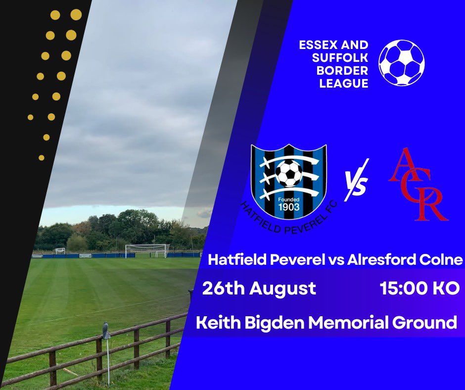 Hatfield Peverel FC tweet media
