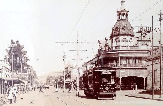 Conscious Caracal 🇿🇦 tweet media