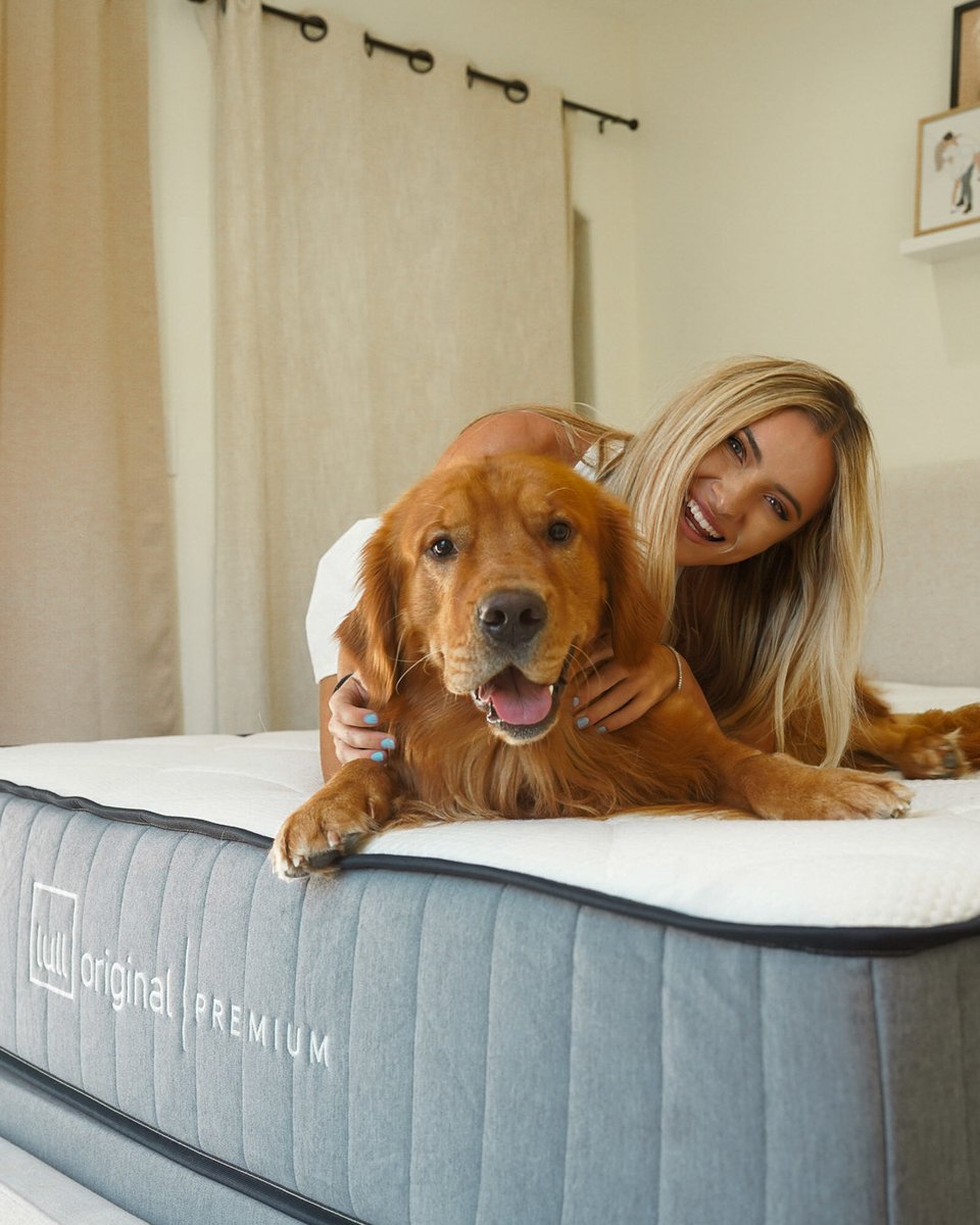 Snuggle buddies, assemble! Our Lull mattress is the ultimate comfort zone for you and your furry friend. 🐾💤
.
.
#PawsAndDreams #lullmattress #getyourlullon #petsbringustogether #petsrule #petsuniversal #petsofinstgram #petsphotography #petstagrams