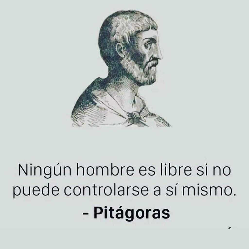 neverdeadmx's tweet image. ✌️