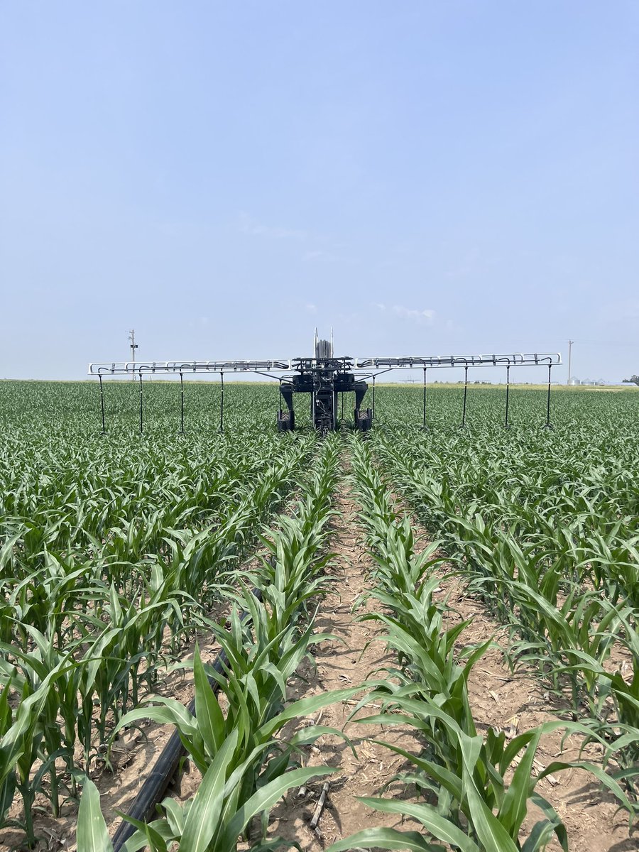CadenMorris's tweet photo. @NebFarmerDan What do you call this?? https://t.co/F5GlDZZ8H4