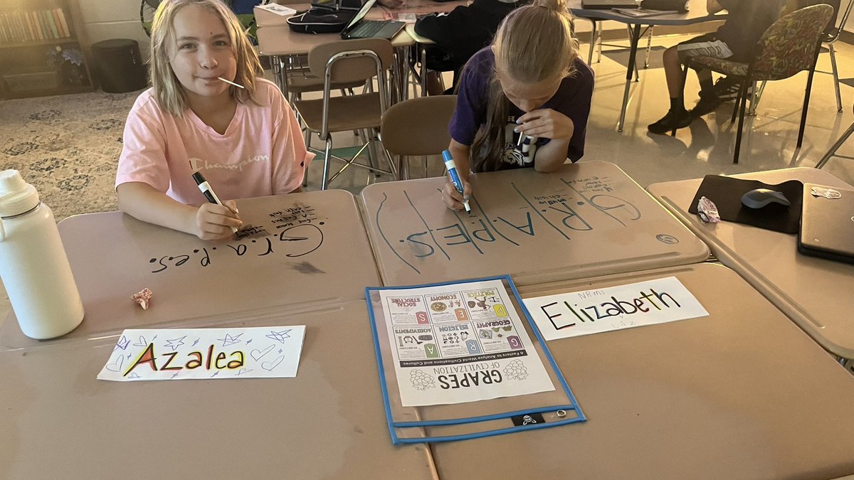 Gina Stabile tweet media