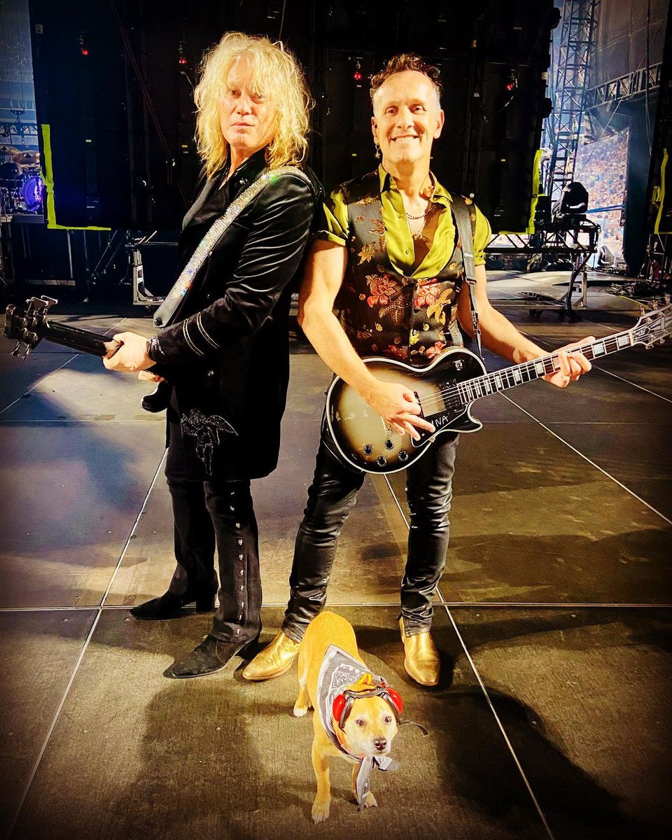 DefLeppard's tweet photo. He said, "Mow the lawn", who me?
"Walk the dog", THAT'S my style

Today we celebrate #InternationalDogDay with our bud Stu 🦴🤘💥 https://t.co/eteq5rP8eg