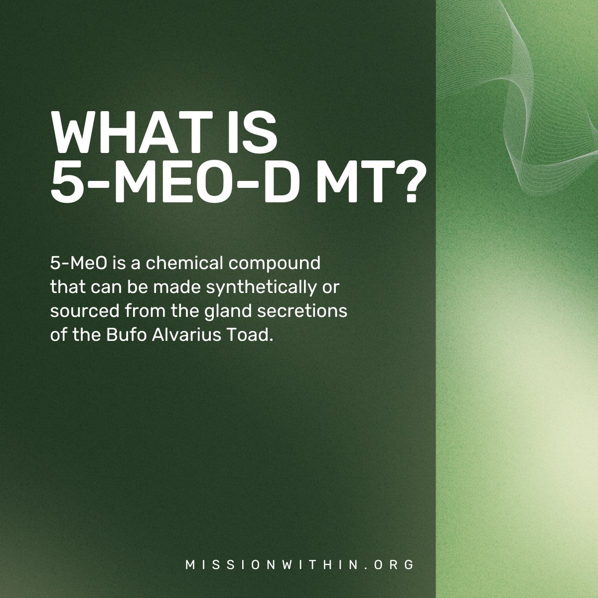 themissionwithin tweet media