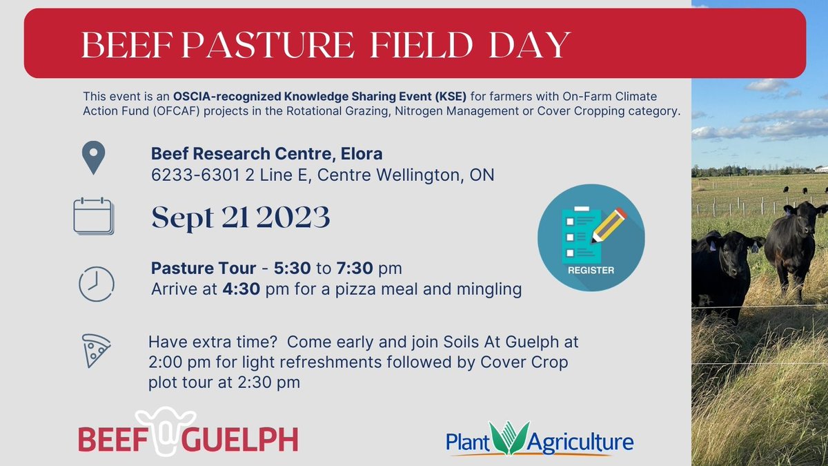 Join us for a Beef Pasture research field day in Elora.  Meet others in #ontag, @UoGuelphOAC faculty, researchers and OMAFRA field staff - new and familiar.  Ask questions.  Oh...and there's free pizza! 

Walk-ins welcome.  Registration preferred...
omafra.my.site.com/survey/ArdiraS…