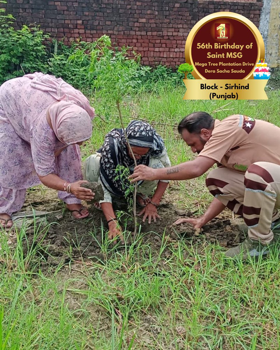 DSSNewsUpdates's tweet image. Eco-Friendly Celebrations!! 🌍🌳 
Dera Sacha Sauda volunteers celebrated Saint Dr. Gurmeet Ram Rahim Singh Ji Insan's 56th birthday by planting more trees!.  #56thBirthday #MSGBhandara #SaintDrMSG #TreePlantation #DeraSachaSauda