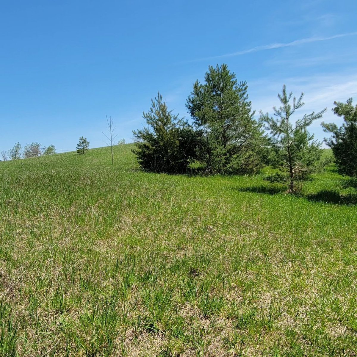 BirdsEyeViewFrm's tweet photo. An exciting addition to our operation - introducing our new Norwood location. Over 100 acres of natural terrain and farmland. We look forward to providing this new opportunity, especially for our northern hunters. #hunting #pheasants #chukars #upland #gamebird https://t.co/BiKVNGig02