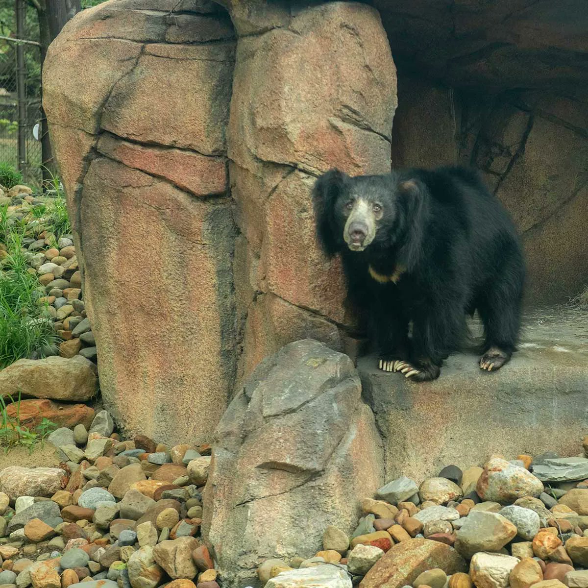 Cleveland Metroparks Zoo tweet media