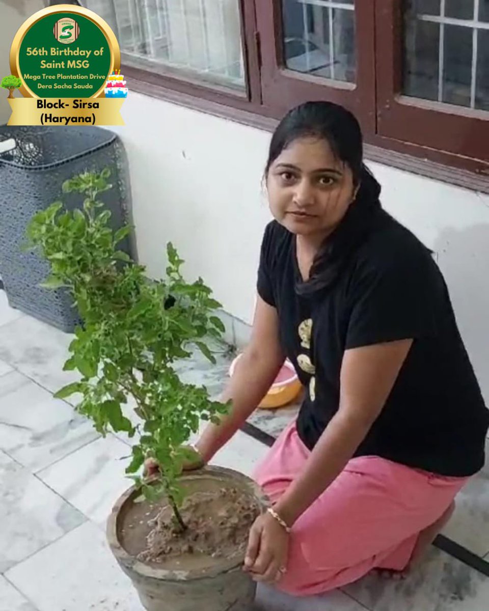 GreenSwelfares's tweet image. Tree plantation is the best way to celebrate special days! Shah Satnam Ji Green 'S' Welfare Force Wing volunteers honored Saint Dr. Gurmeet Ram Rahim Singh Ji Insan's 56th birthday by planting trees🌳.  #56thBirthday #SaintDrMSG #TreePlantation ‘MSGBhandara’ #DeraSachaSauda