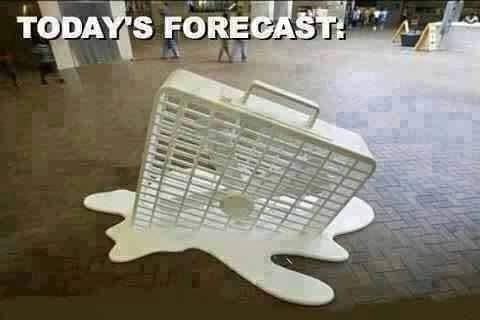 SHIRLEYMarchba4's tweet photo. Good Afternoon 👋🌞🔥💦💧Be Safe/Stay Hydrated ⚠️ STL https://t.co/09pGuXX9aC