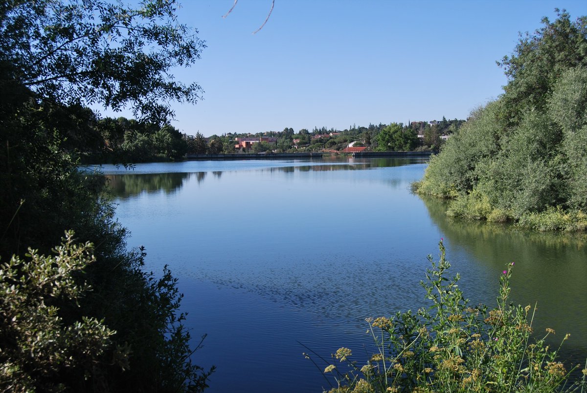 La Comunidad de Madrid plantea declarar Zona Especial de Protección Medioambiental para las aguas del embalse de Los Peñascales y su entorno.

El Gobierno regional y el Ayuntamiento de #Torrelodones , contrarios al derribo que plantea la CHT.

👉telemd.es/tzqvz