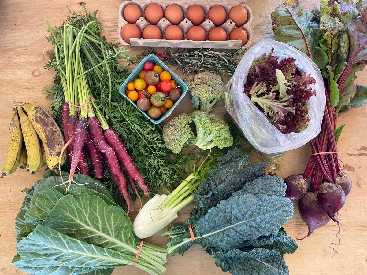 Spots are filling up fast for South Florida CSA memberships! Get farm-fresh produce from local growers during the fall/winter season. Here are some of the best: …blesouthflorida.ediblecommunities.com/shop/csas-buyi…