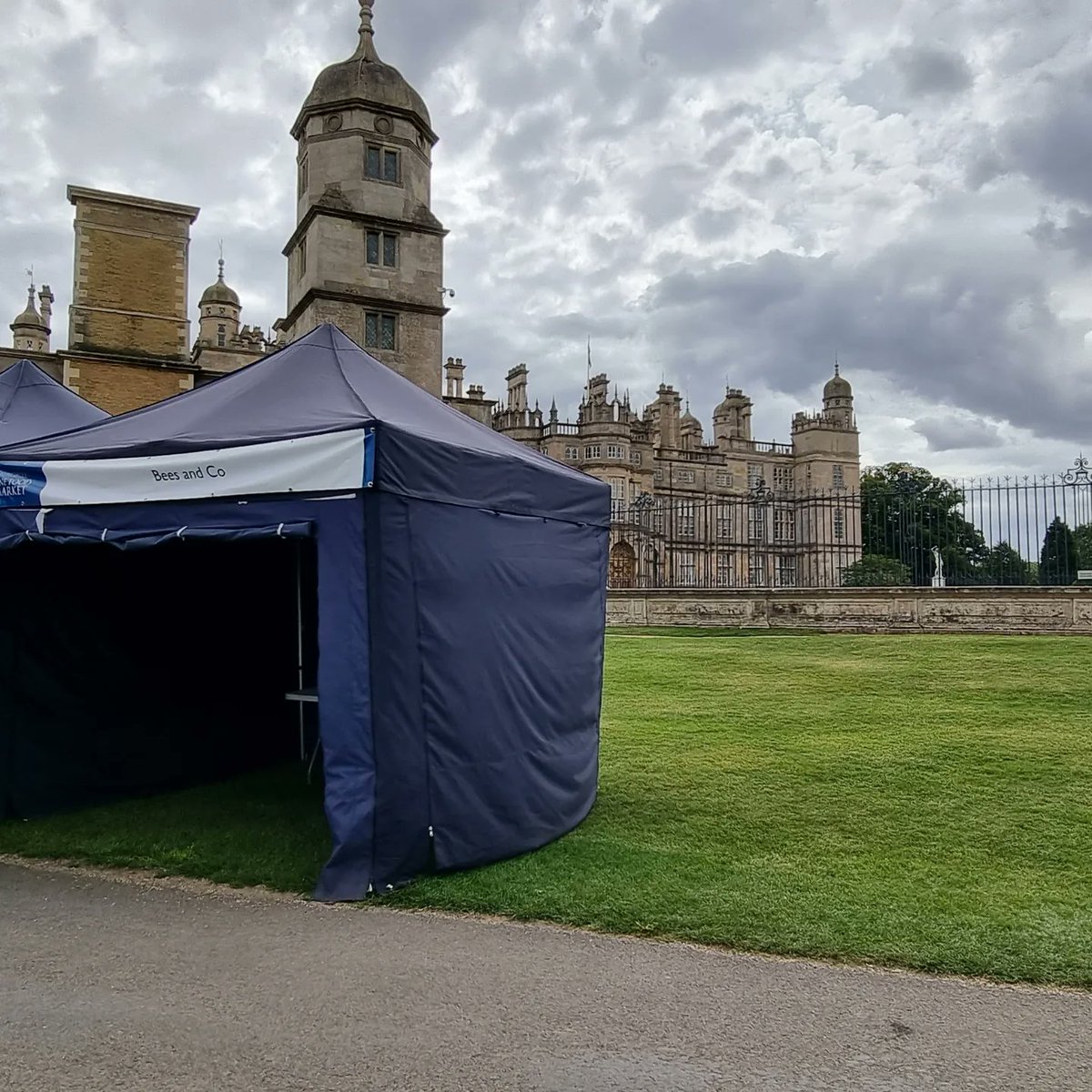 Bees & Co. tweet media