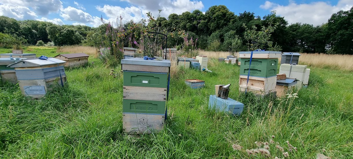 We are at the Burghley Summer Food Market this Bank Holiday Weekend 👋
 
Come and see us outside the Chestnut Courtyard, selling honey and hive products made by our bees on the grounds of the estate.

Sat 26th–Mon  28th August, 10am to 4pm each day.

#stamforduk #burghleyhouse