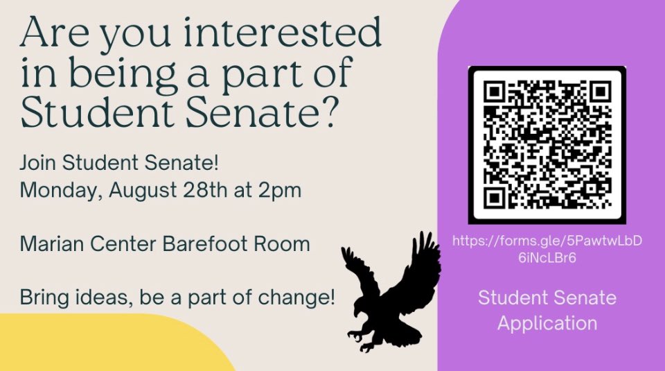 Avila Activities tweet media