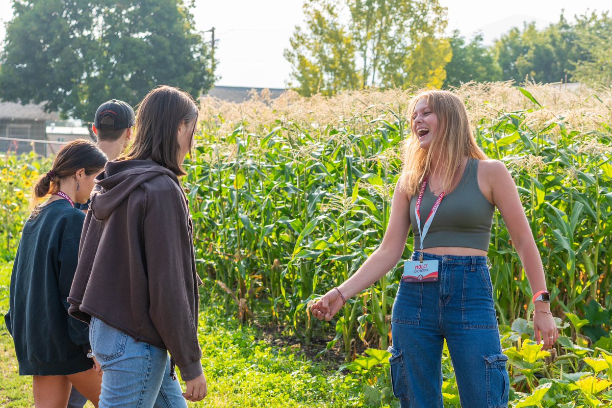 University of Montana tweet media