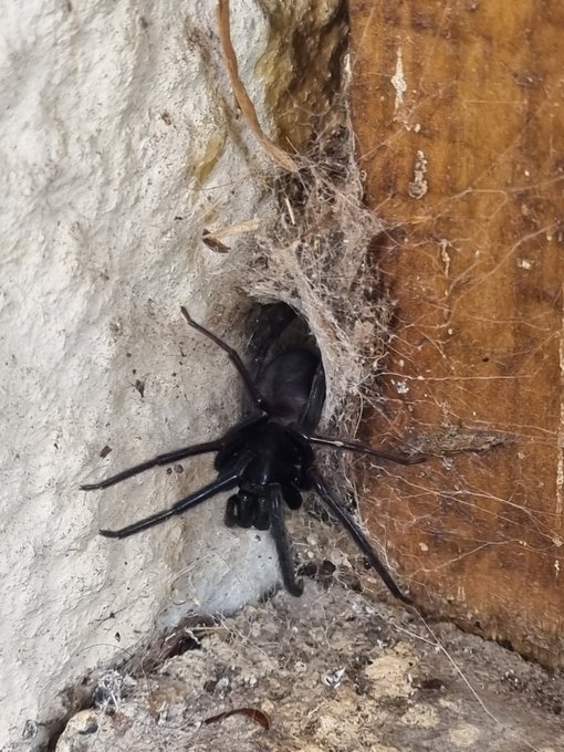 Just chilling on my front porch... https://t.co/3oObRfDE4N<a href="/tag/throne"class="tags"><span>#throne</span></a><a href="/tag/wishlist"class="tags"><span>#wishlist</span></a>