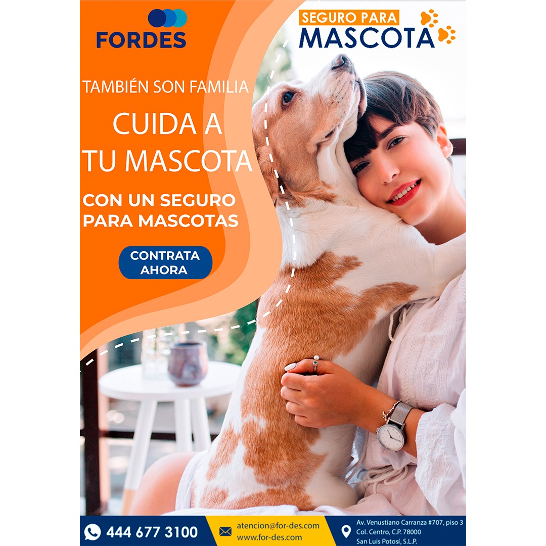 ¡¡Asegura a tu mascota de cualquier accidente!!

Contáctanos:
📱 444 677 3100
✉️ atencion@for-des.com