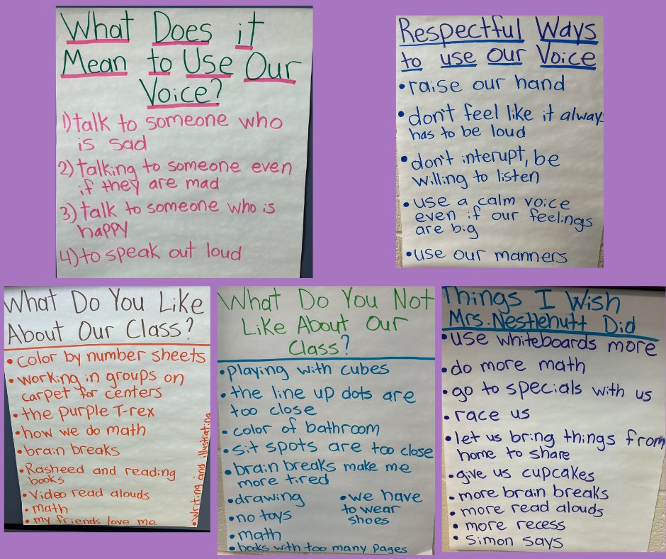 Mrs. Nestlehutt's first graders <a href="/York1HSE/">Hunter Street Elementary</a> learning about Student Voice. Powerful practice for little people! #LivingtheHuskyWayHSE #studentcenteredlearning #YSD1LegacyBuilders