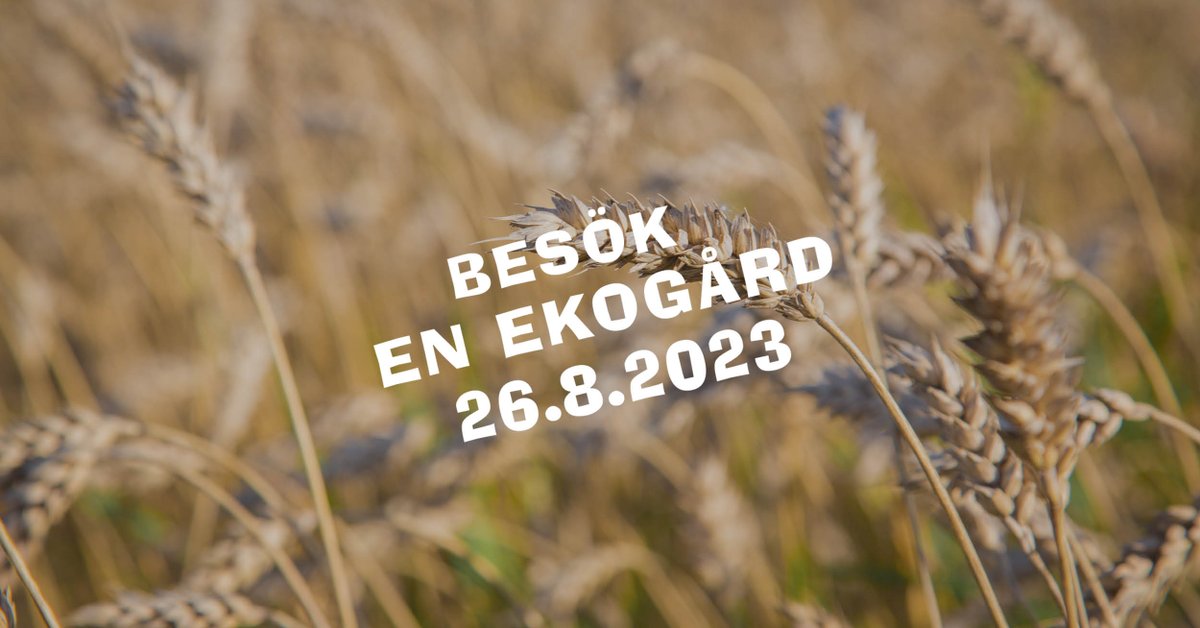 Glad Finska Naturens dag!  🇫🇮💚 Välkommen till över 20 öppna ekogårdar lör 26.8 och bekanta dig med ekoproduktion! 
🌱 Du hittar alla gårdar och öppettider på: luomu.fi/luonnonpaiva/
#eko #luomu #finskanaturensdag #suomenluonnonpäivä <a href="/ProLuomu/">Pro Luomu ry</a> <a href="/Luomuliitto/">Luomuliitto</a> <a href="/MTKry/">MTK</a> <a href="/mmm_fi/">MMM</a>