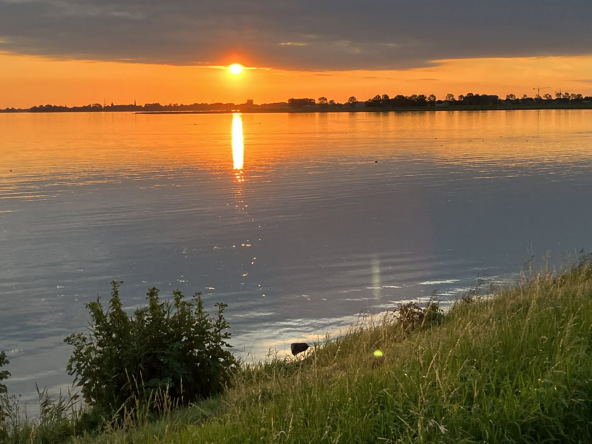 Oppervlakte water vervuiling komt volgens de <a href="/NOS/">NOS</a> door de gewasbeschermingsmiddelen van de boeren. Maar <a href="/NOS/">NOS</a> zeg er dan gelijk bij dat er 190.000 kg medicijn resten in het water zit tov 17.000 kg gewasbeschermingsmiddelen. Maar de boer krijgt de schuld. #water #medicijnresten