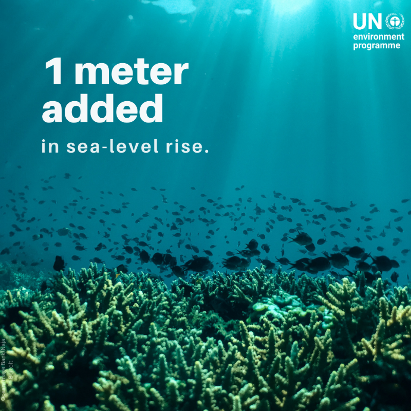 UNEP's tweet photo. The science is clear. 

The world is in a climate emergency, and we need to shift into emergency gear.

#ClimateAction NOW.
