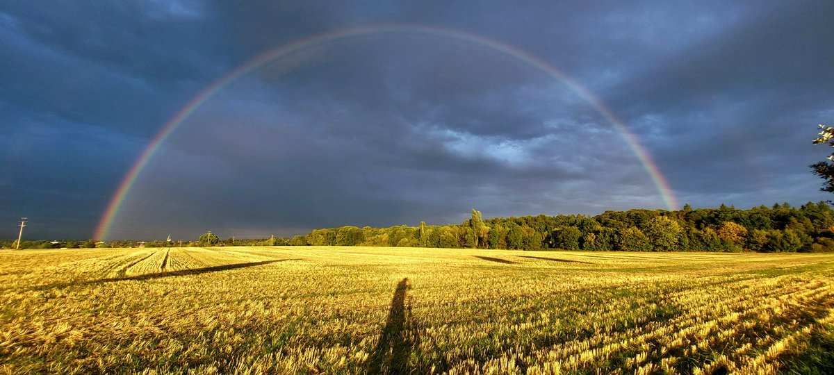 Pár slov o tom, jak jsem letos při cestách po #Praha a okolí přesedlal z 🚗🚌🚇komplet na #kolo. 

Pro a proti i proč a jak

👉🧵