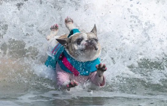 Samuel Nicholls tweet media