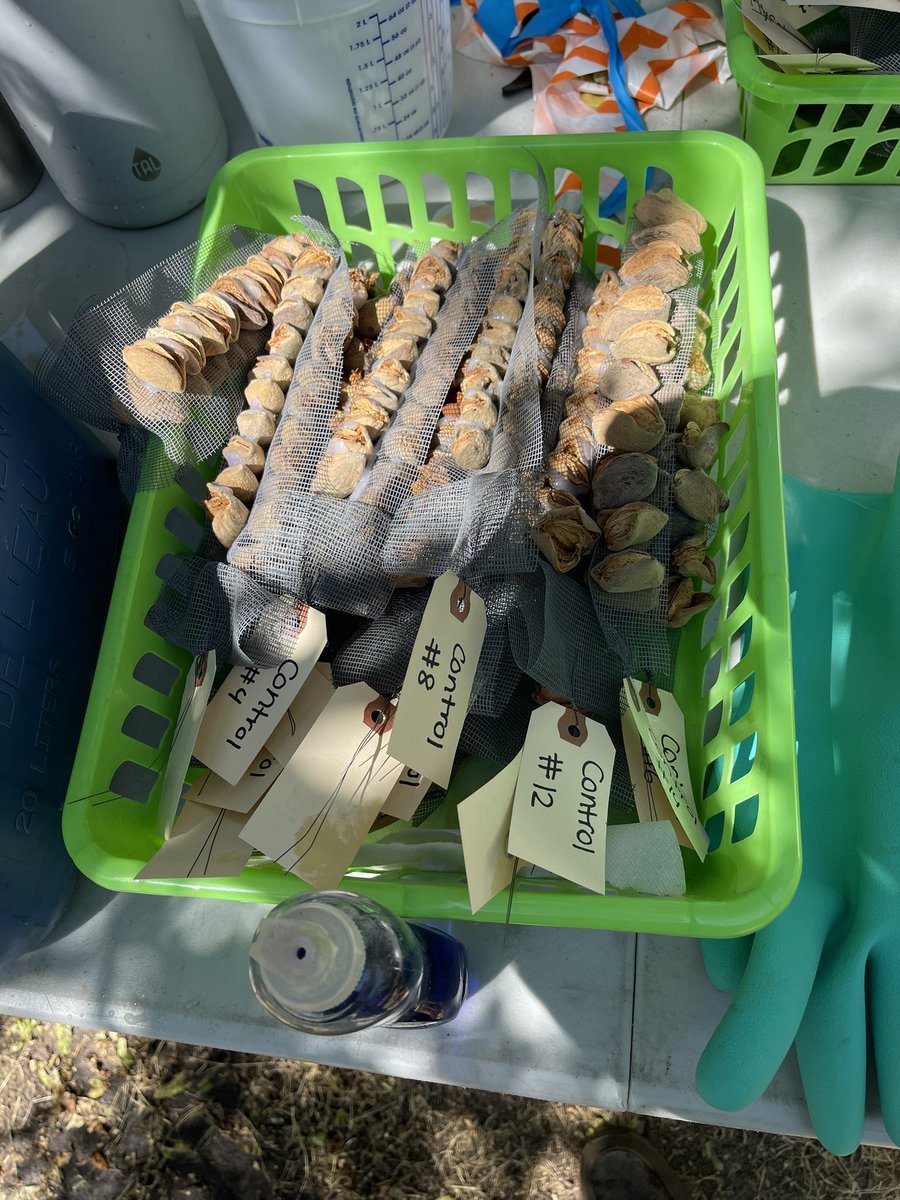 Jhalendra Rijal tweet media