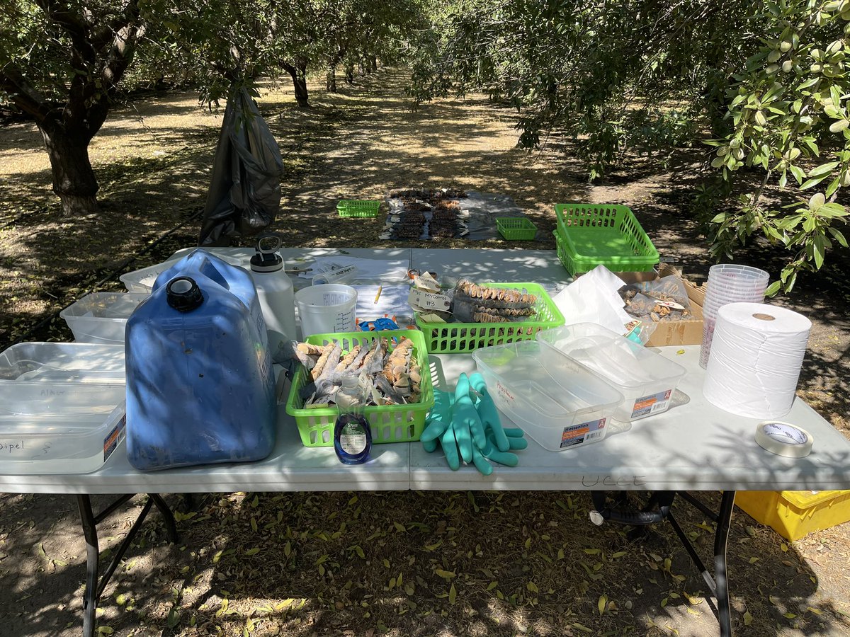 Jhalendra Rijal tweet media