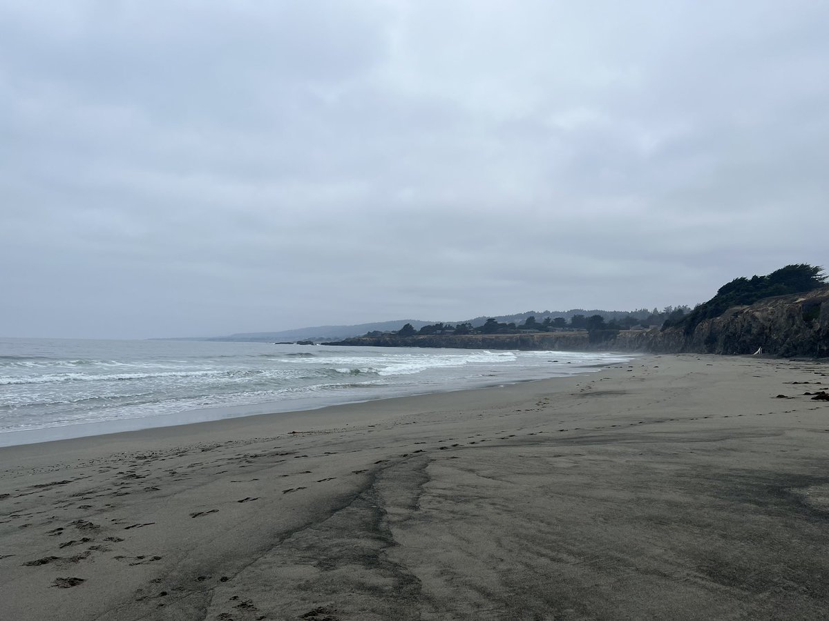 Samuel Nicholls tweet media