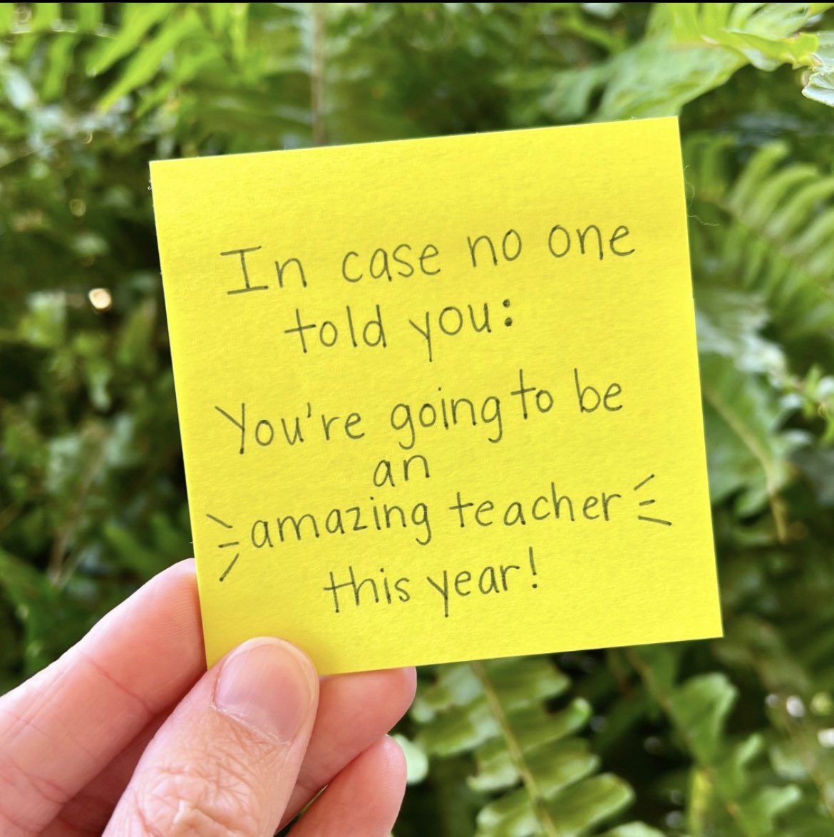 To all the amazing educators at <a href="/TribuneDrive/">Tribune Drive P.S.</a> 
🤍🤍🤍🤍