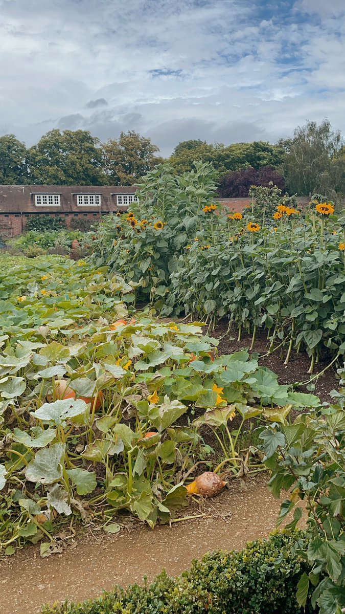 Emily Frain tweet media