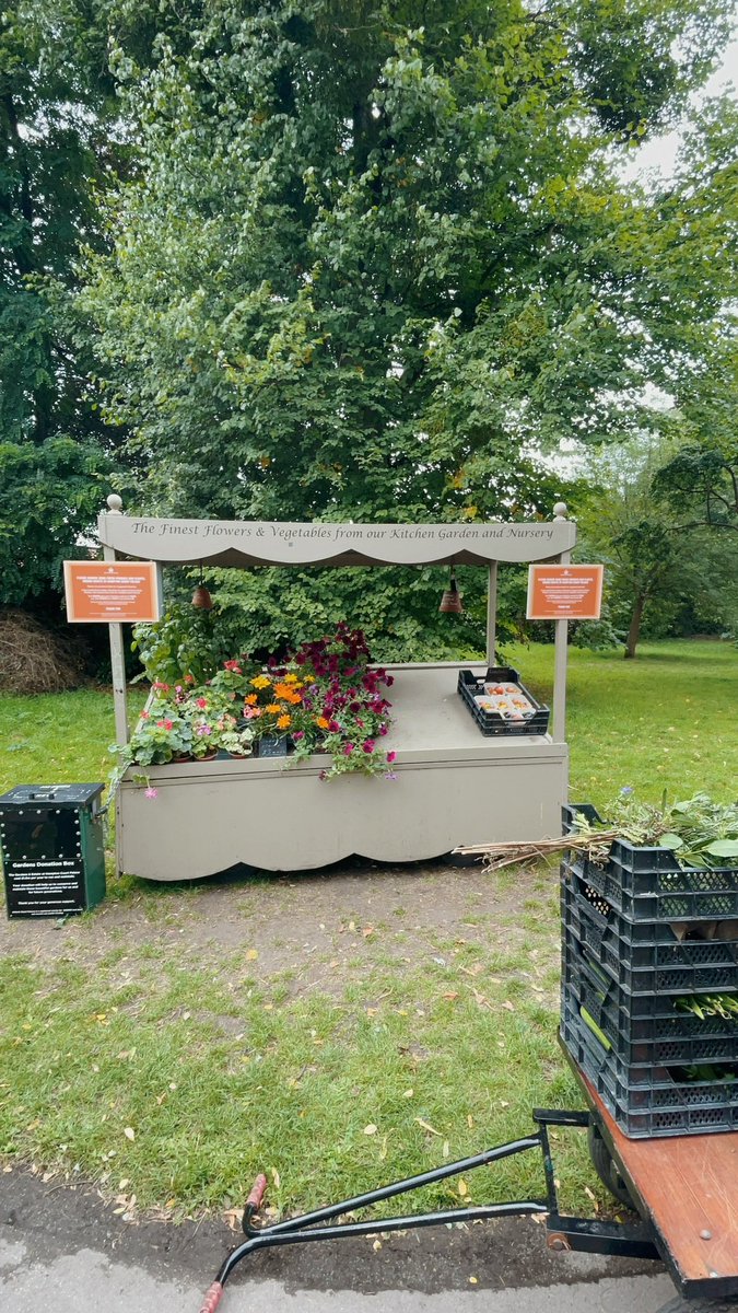 Emily Frain tweet media