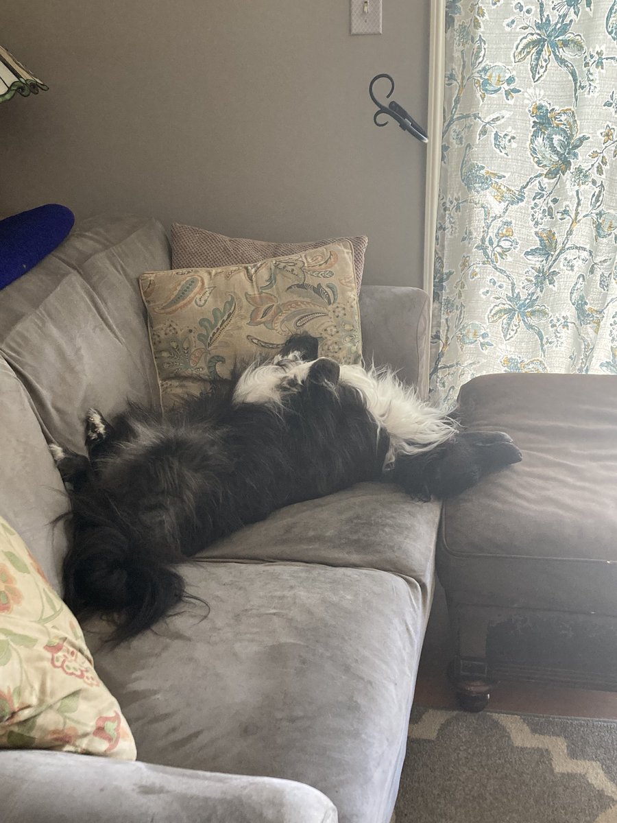 Chuck Floyd tweet media