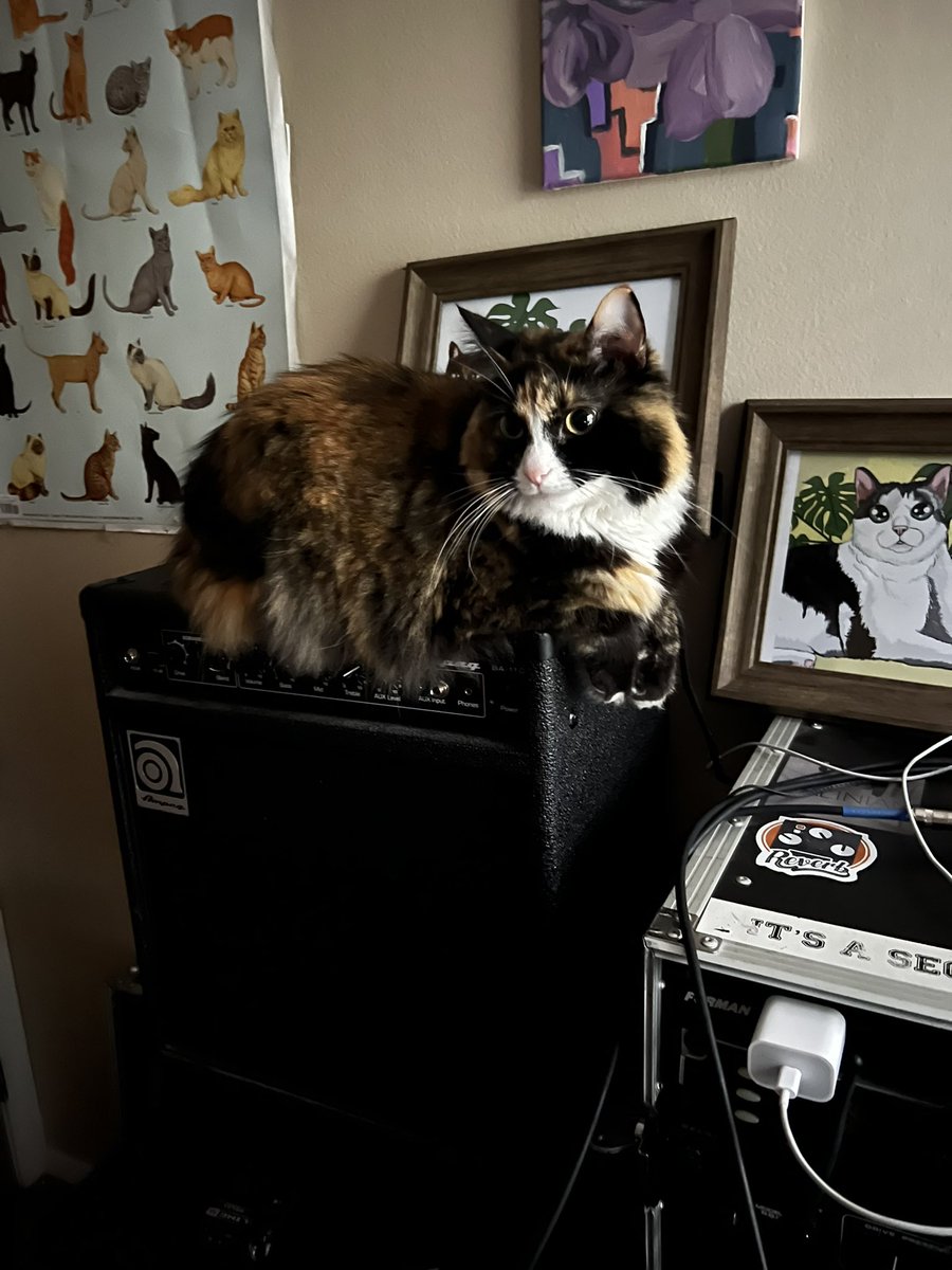 robert733's tweet photo. Hi my band broke up lame here’s a sweet pic of my xenie #ripask https://t.co/Hiogd9pym1