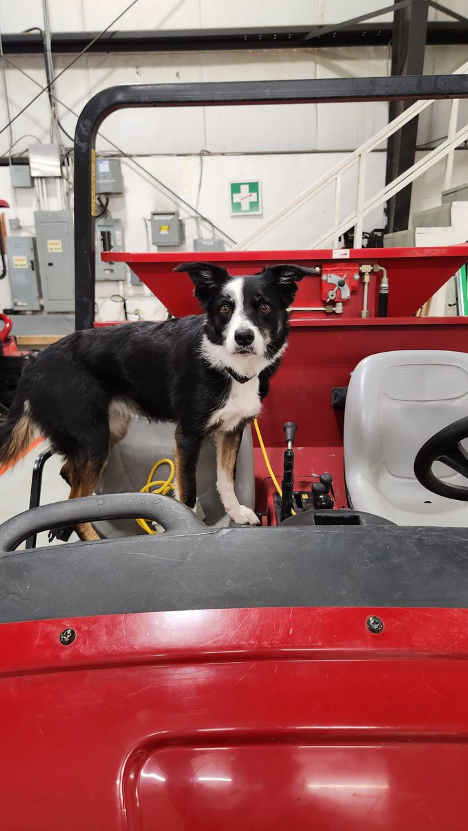 Spent some time with <a href="/tylerpatroch/">tylerpatrochCGCS</a> &amp; <a href="/seanthashimoto/">Sean Leach</a> at <a href="/PointGreyGolf/">Point Grey Golf & CC</a> checking out their new golf holes and practice area <a href="/SyngentaTurfCA/">SyngentaTurfCanada</a> <a href="/TurfMgmtWomen/">Women in Turfgrass Management</a>