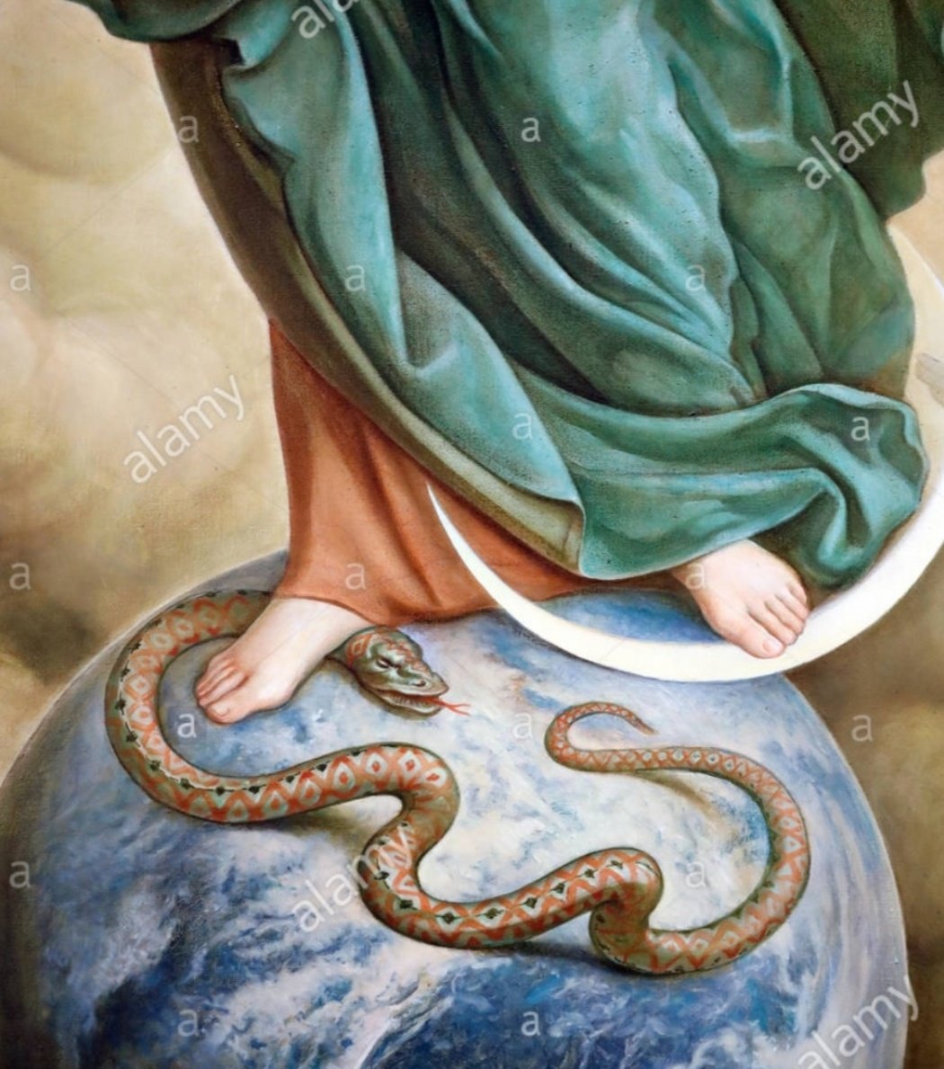 EsclavitudM's tweet photo. María no permite que el diablo te haga daño. https://t.co/LOgCJn7tsc
