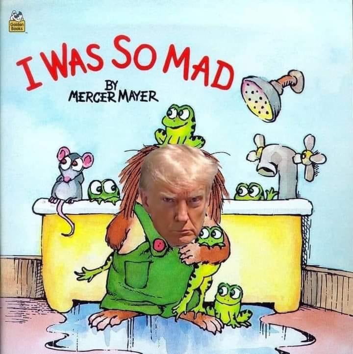 Kasey Greene tweet media