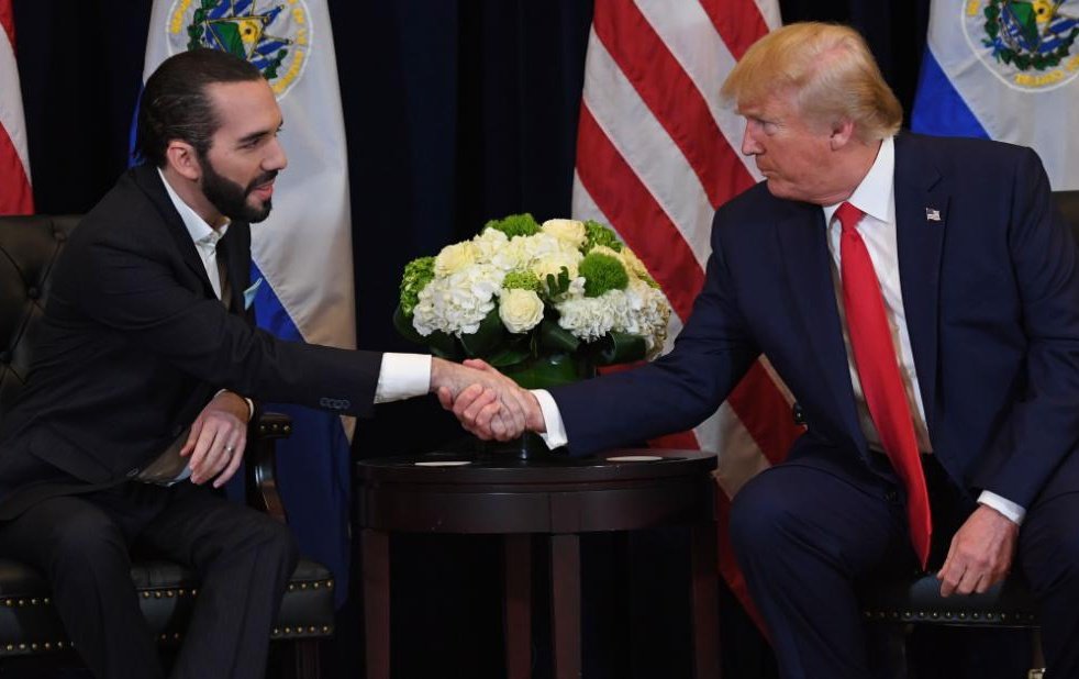 Sondeo Tuitero 

Apoya usted a Trump y a Bukele?

SÍ: 🔄
.
.