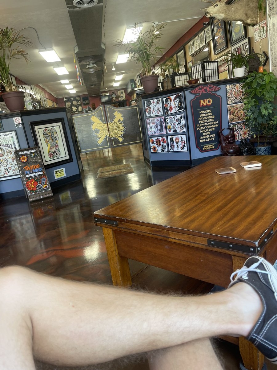 Dyllan Self tweet media