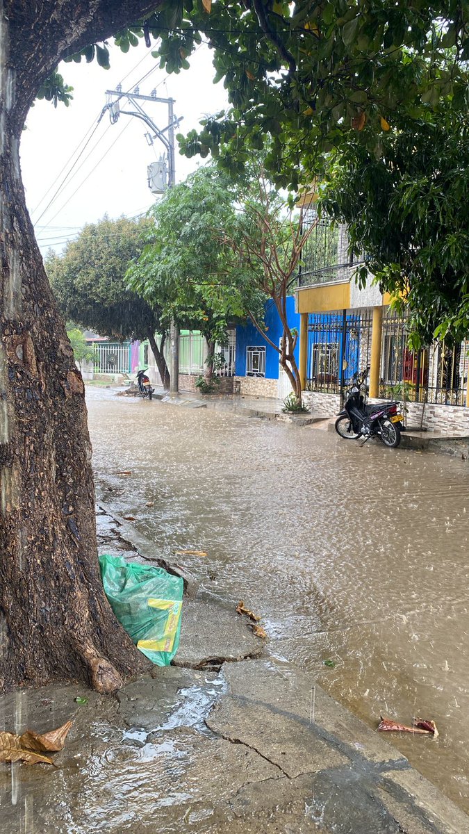 PoloDiazG's tweet photo. Cae agua en #LaSamaria este viernes https://t.co/JAdroYHilU
